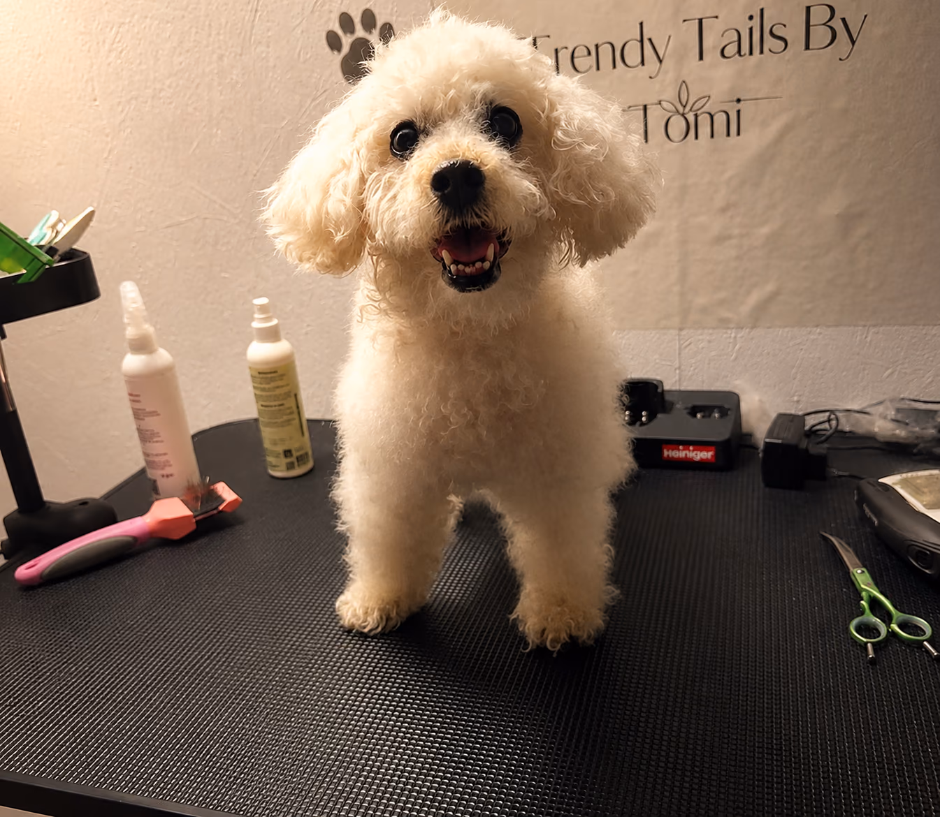 Hund beim Grooming im Salon
